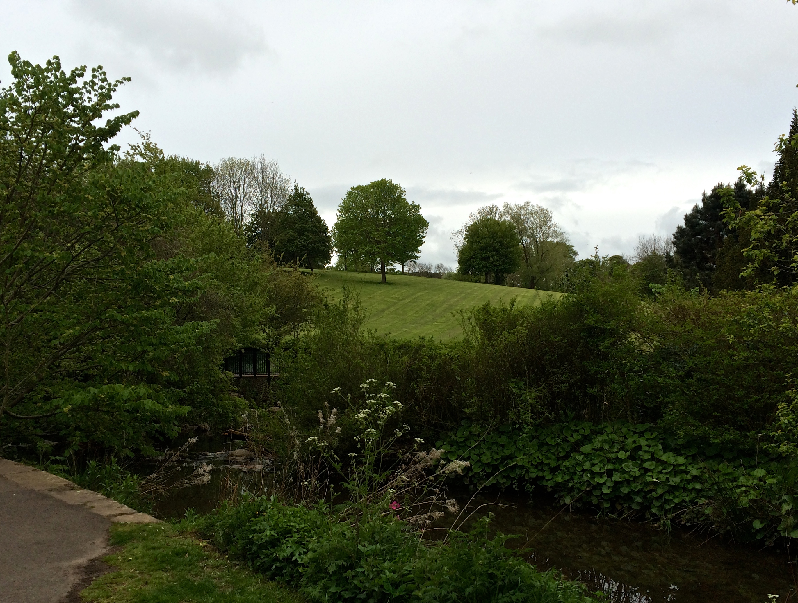 more scenic lade braes