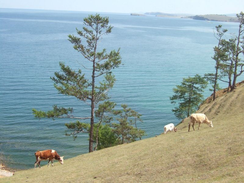 Olkhon Island Adventures