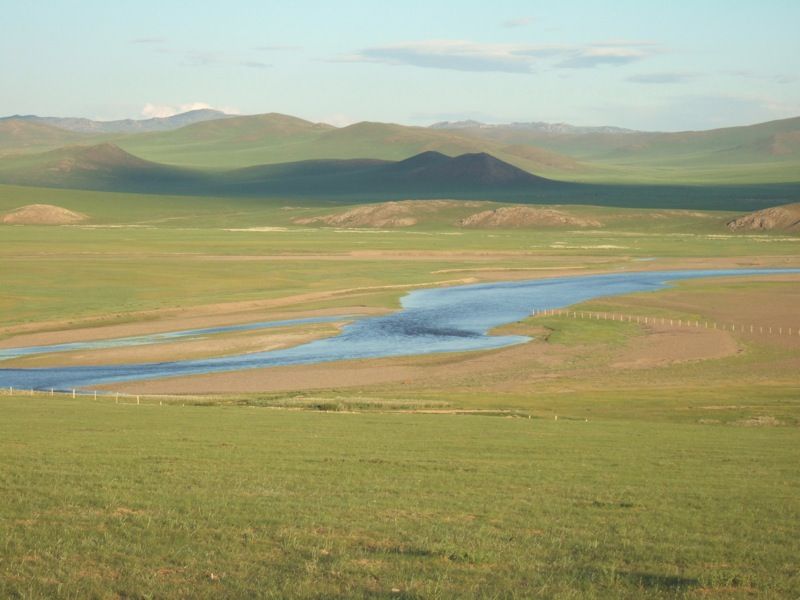 Mongolian Midnights